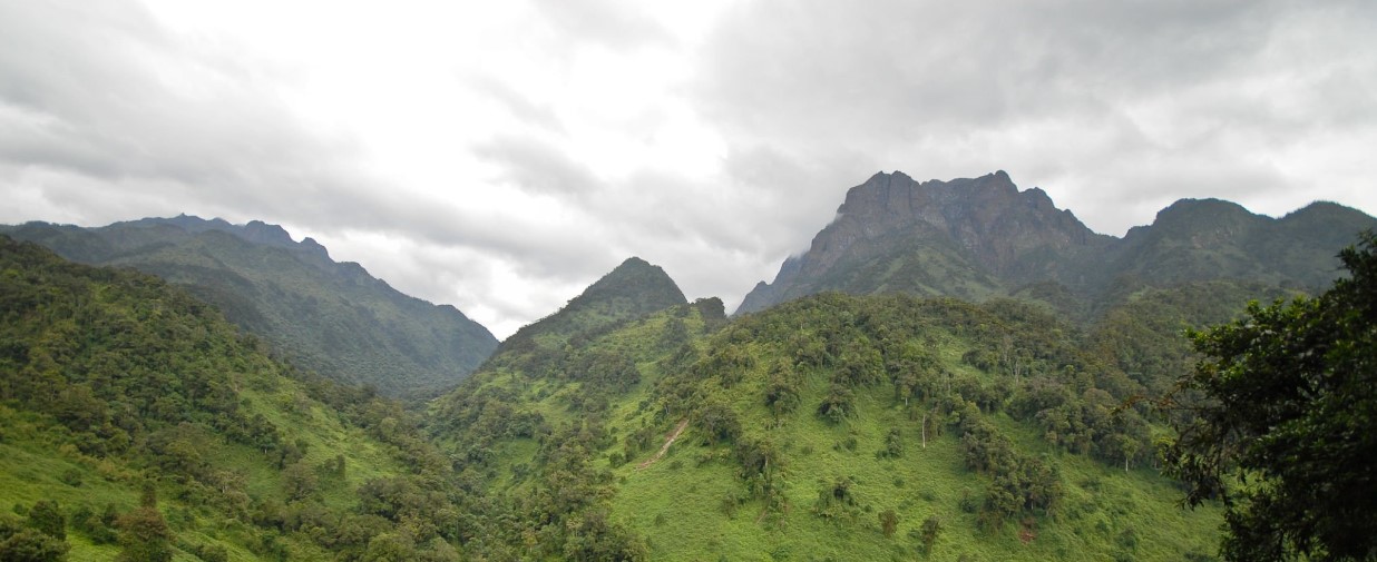 8 Days Rwenzori Mountain National Park Hike