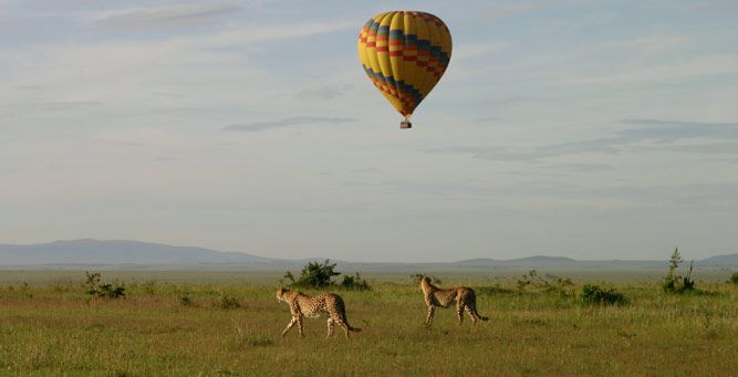Hot Air Balloon Murchison Falls