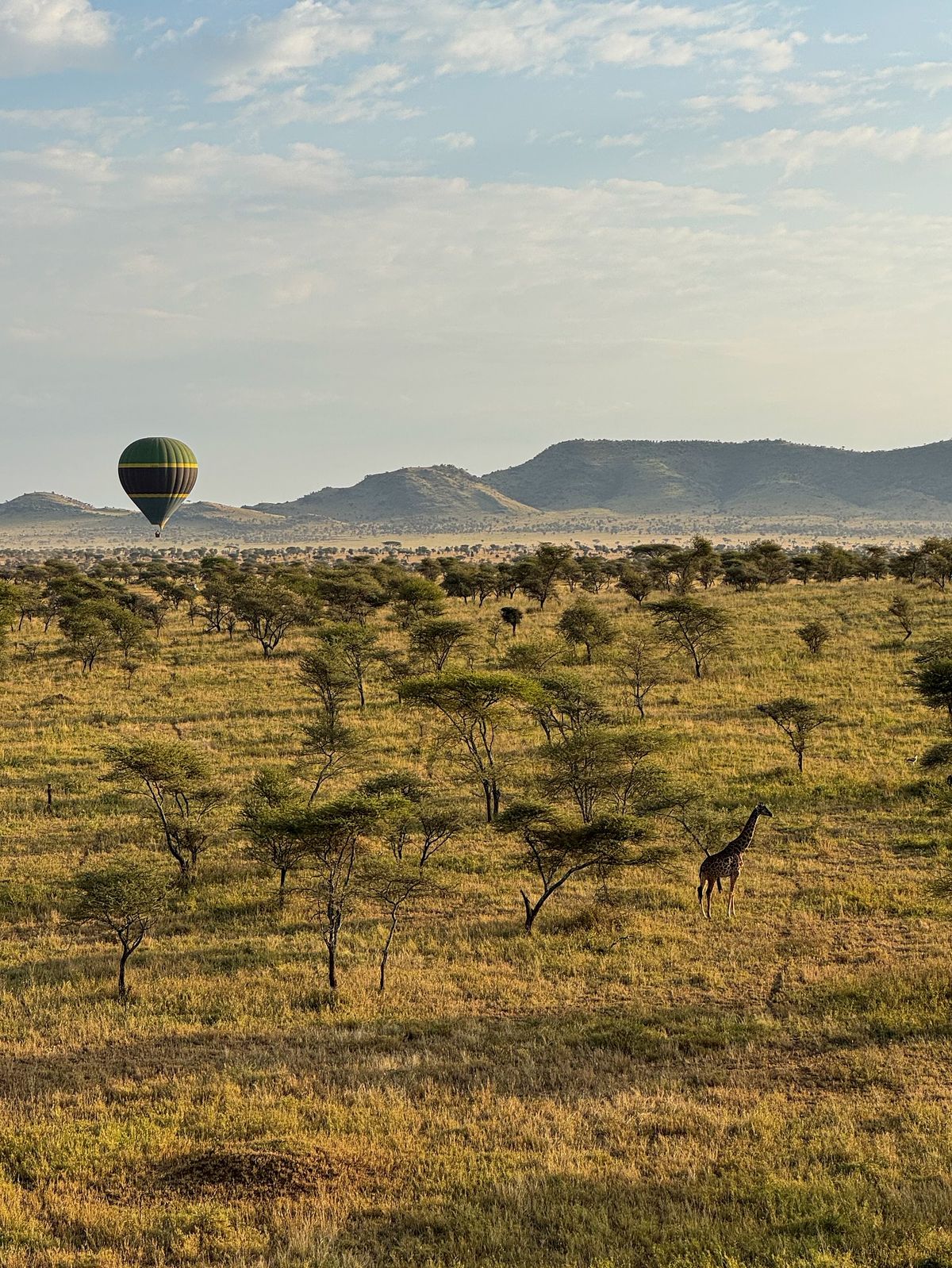 Balloon Ride Serengeti