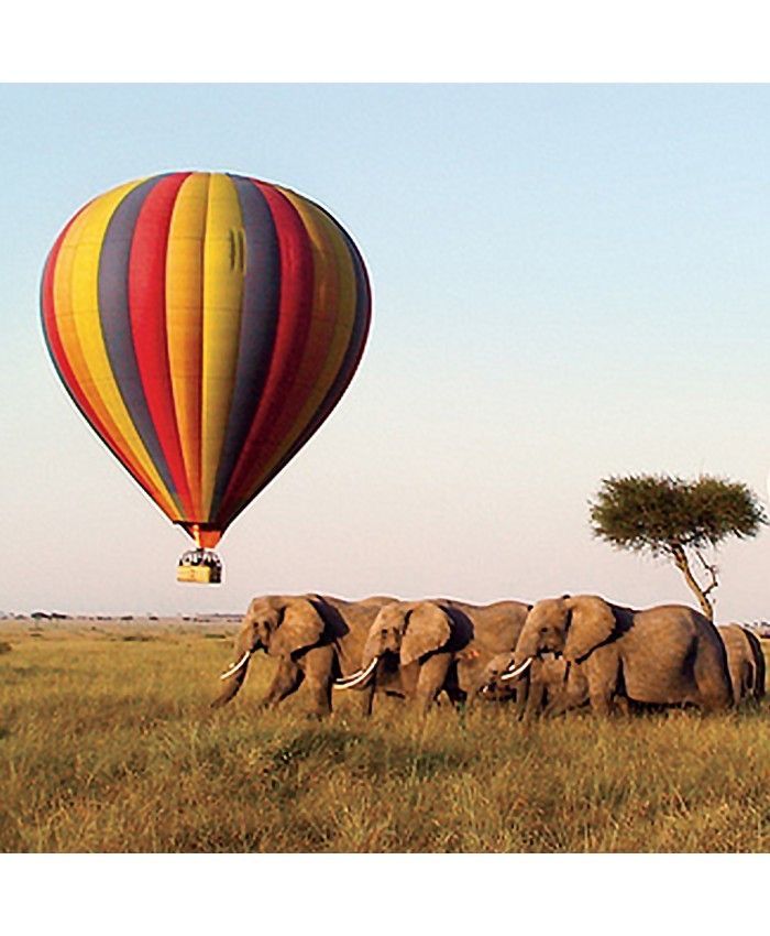 Hot Air Balloon over Queen Elizabeth NP