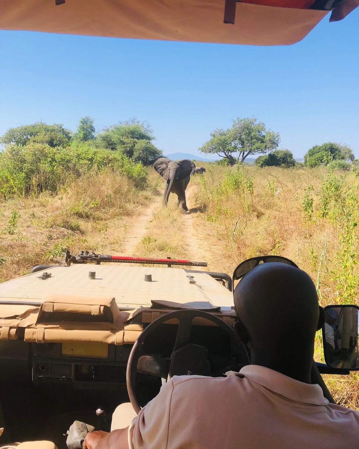 Savannah landscape and game drives