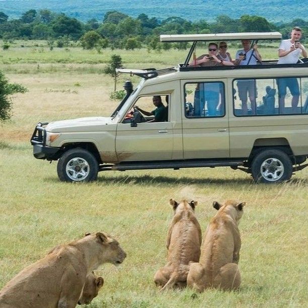 Serengeti Game Drive