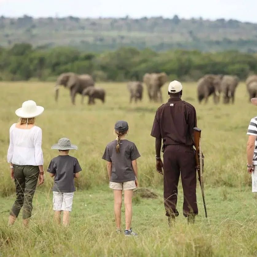 Best Time for a Family Safari in East Africa