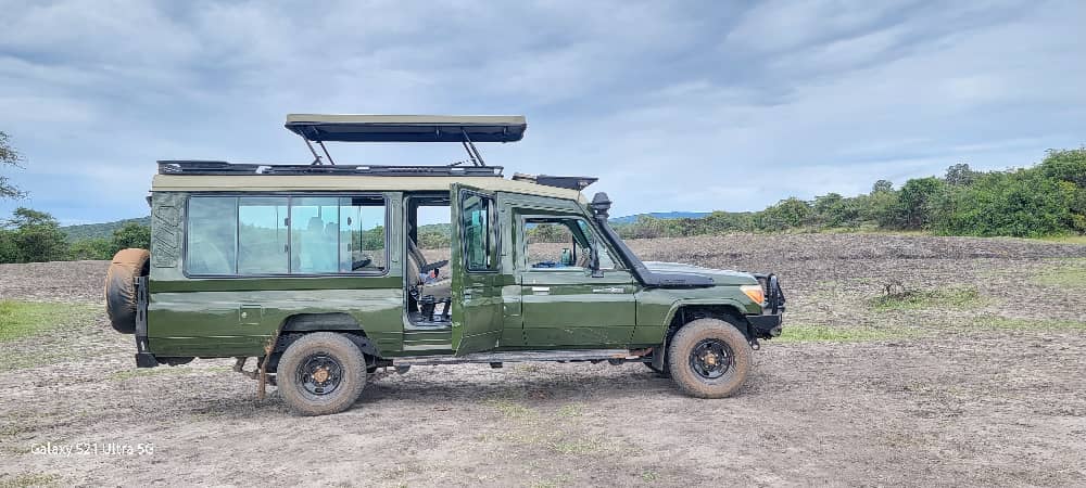 East Africa safari packages