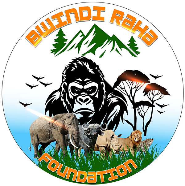 Bwindi Raha Foundation logo