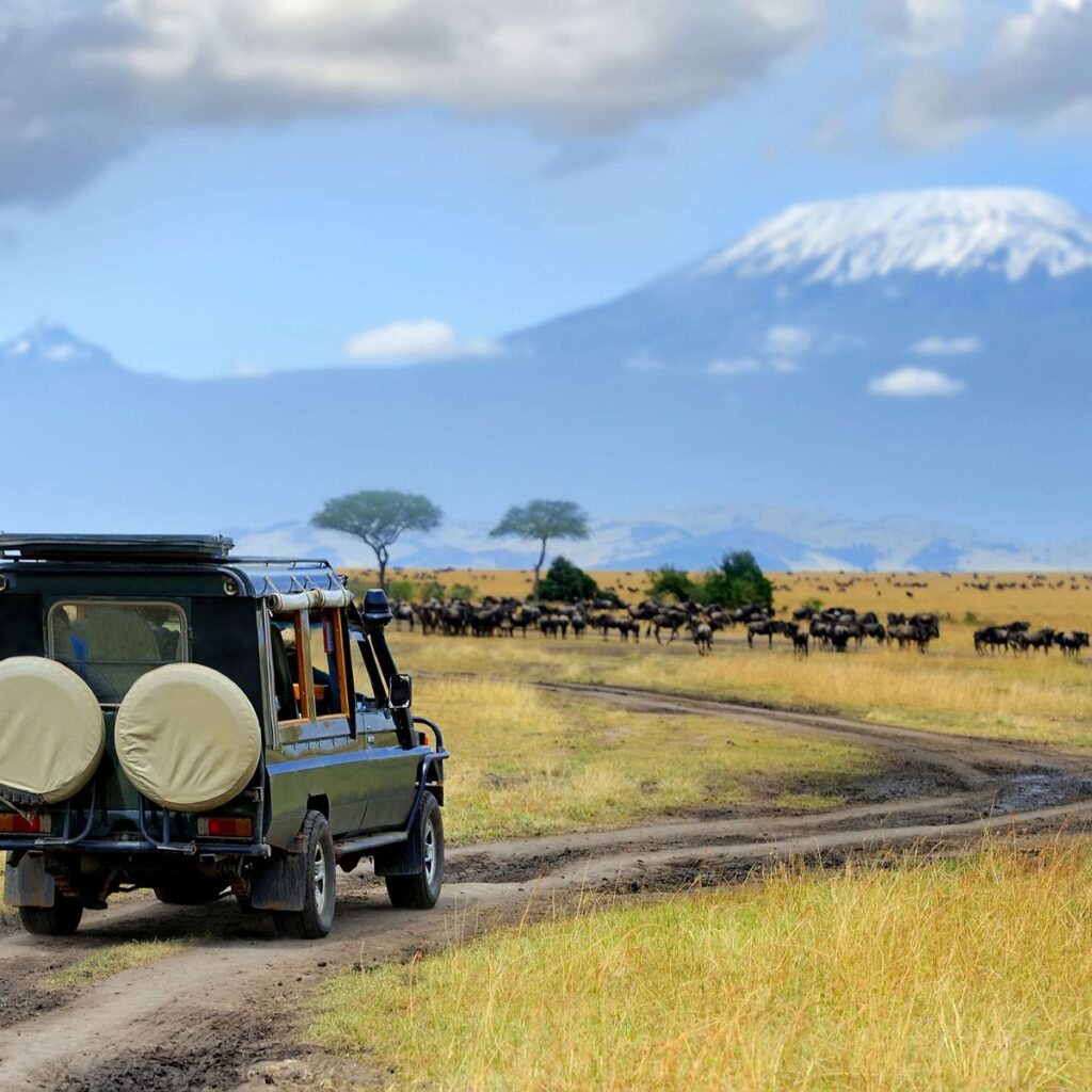 Rwanda Uganda Combined Safari 2026