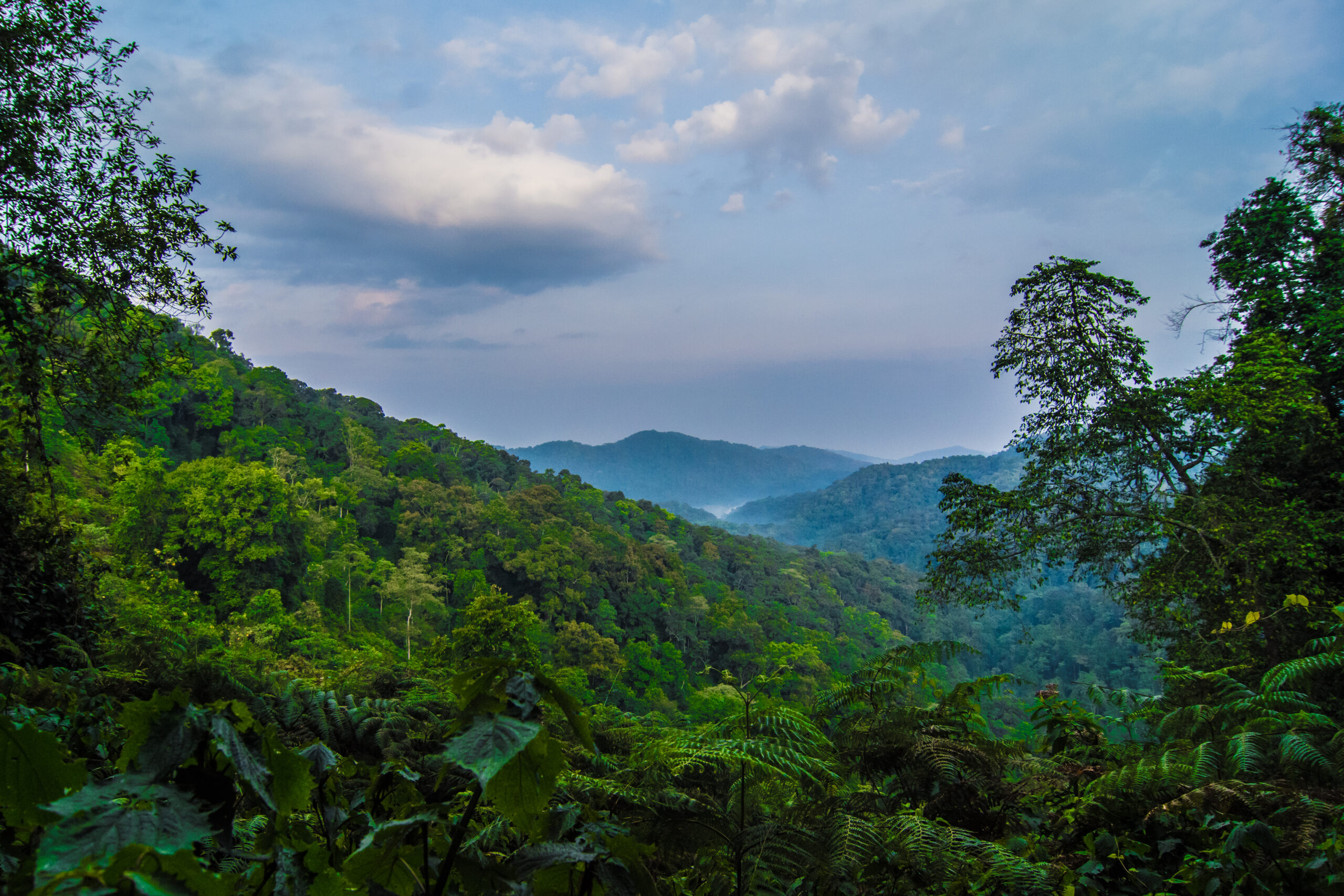 Rwanda climate