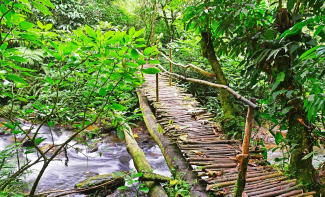 Gorilla Trekking Packing