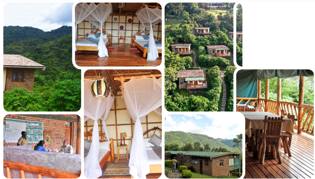 Community-Run Camps Bwindi Park