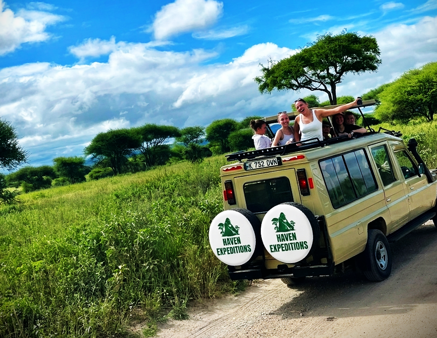 Haven Expeditions travelers on a gorilla trekking safari in Uganda