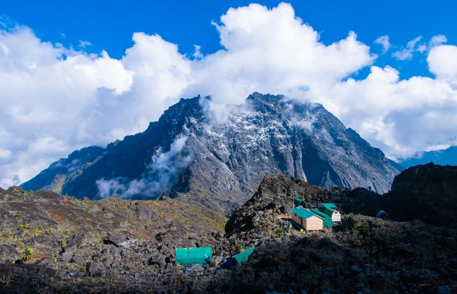 Rwenzori Mountains Hiking