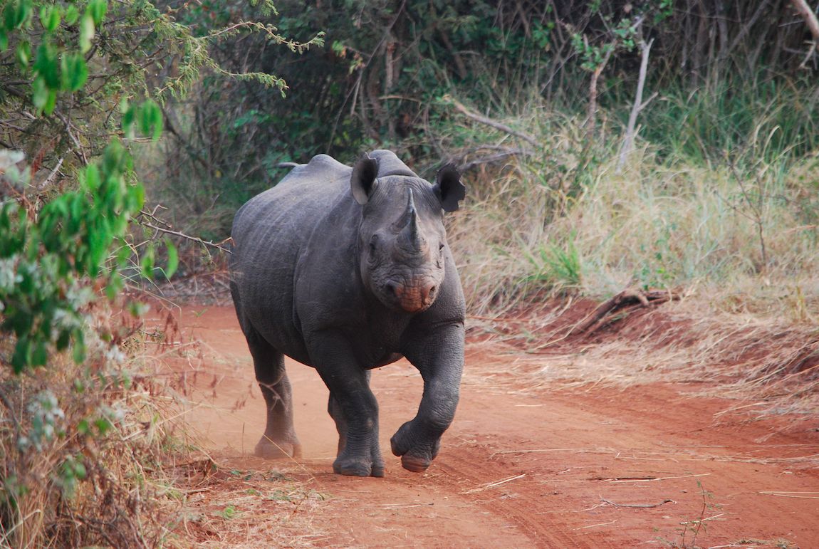 Akagera National Park